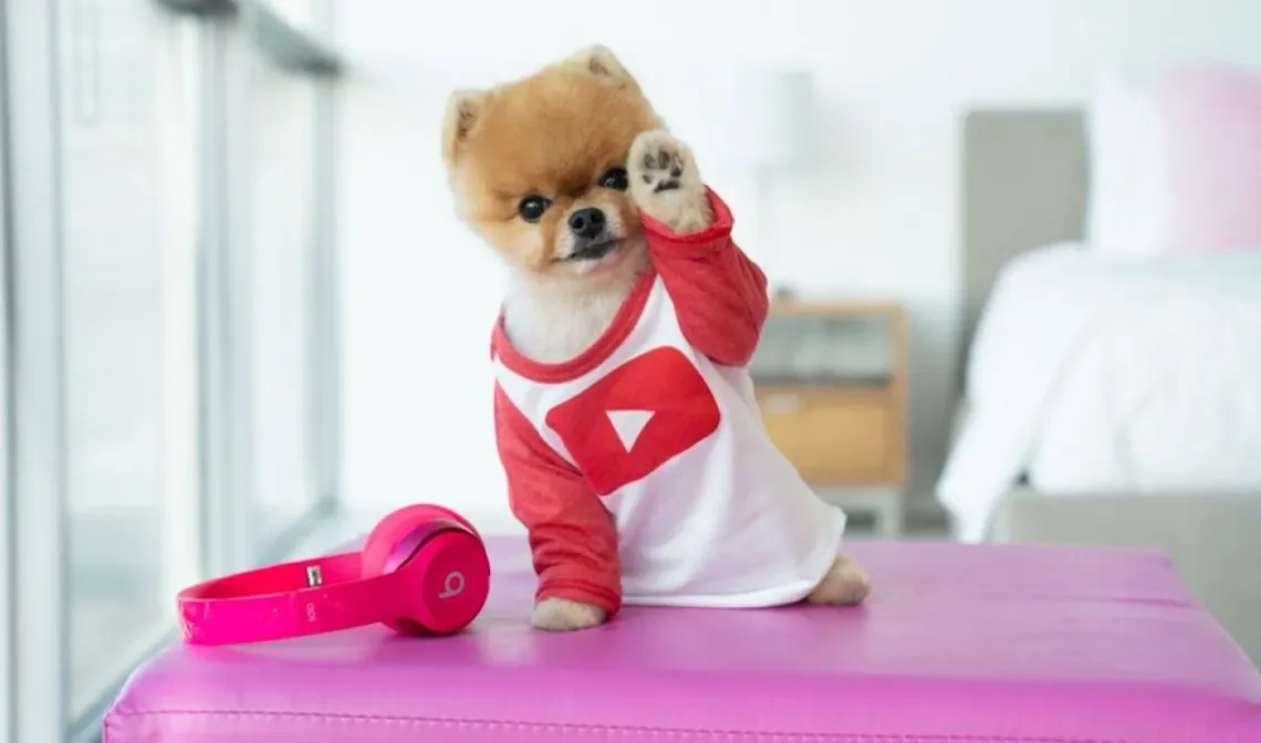 jiffpom